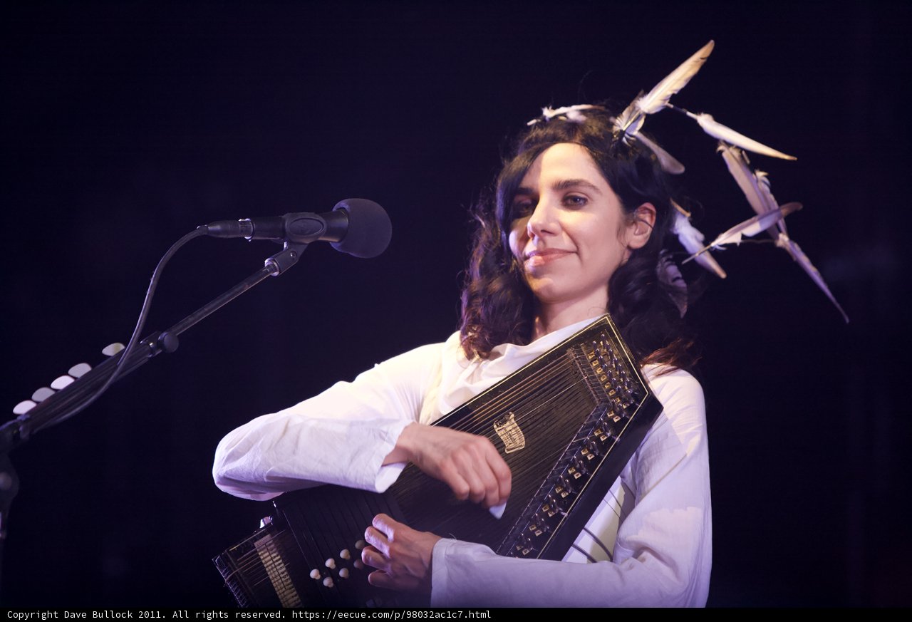 PJ Harvey performing with her accordion
