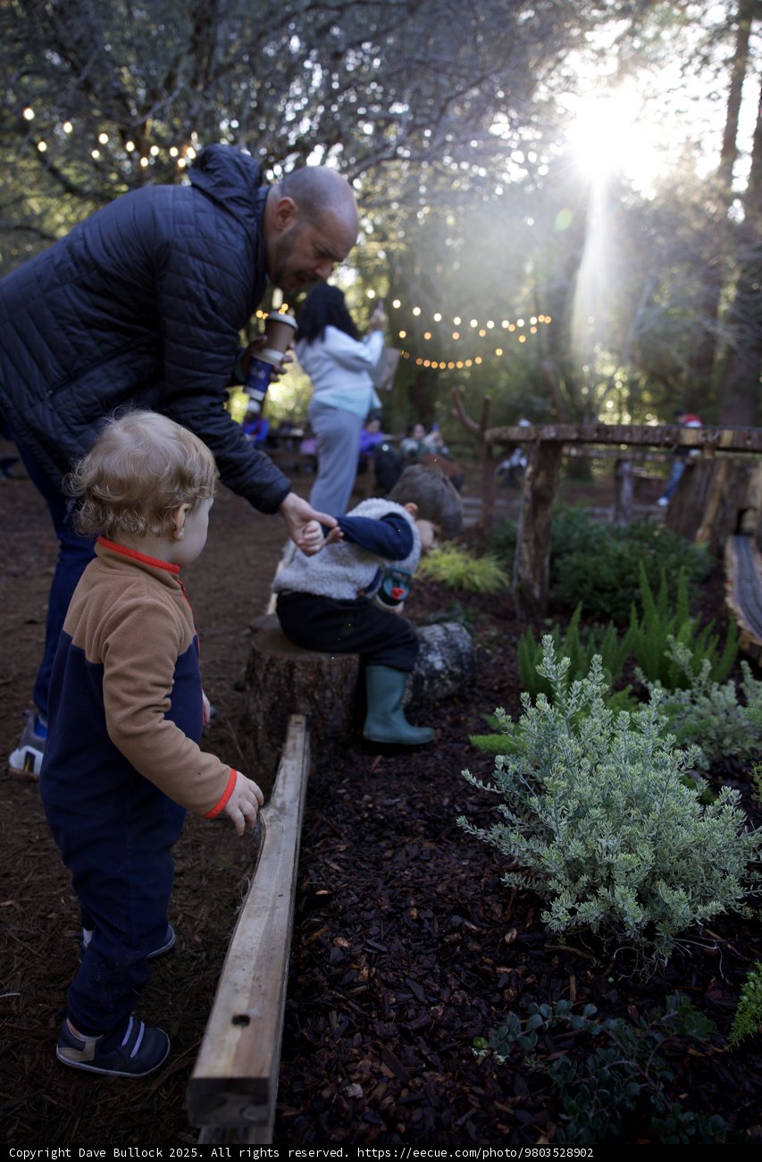 Sunlit Garden Adventure