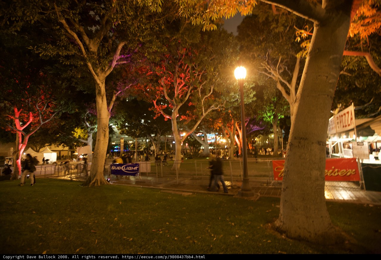 Illuminated Trees