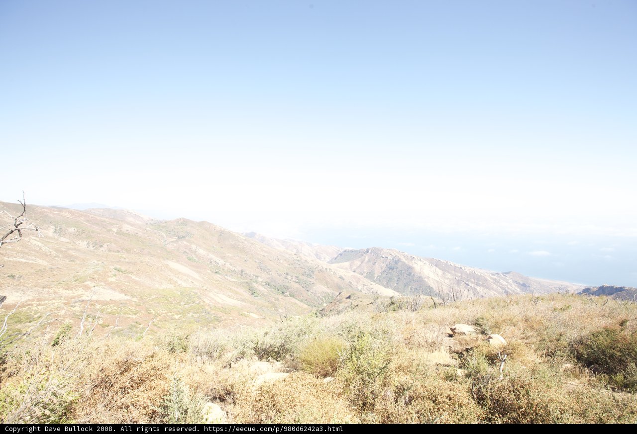 Overseeing the Wilderness