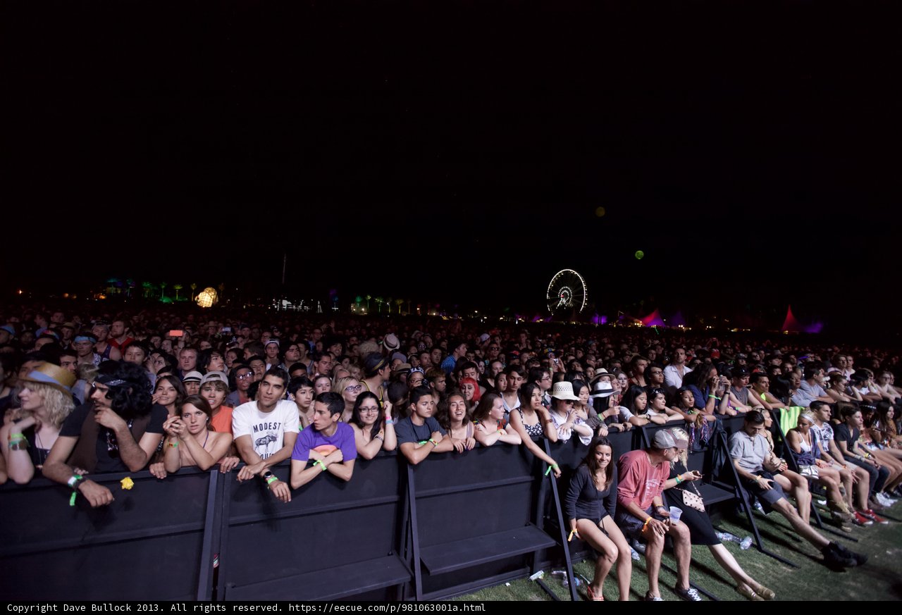 Coachella Nights