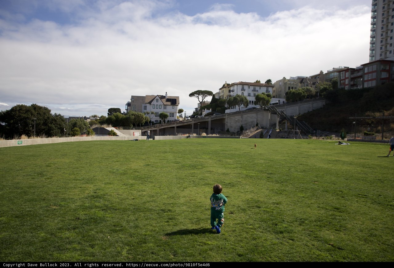 Soaring Dreams at Francisco Park