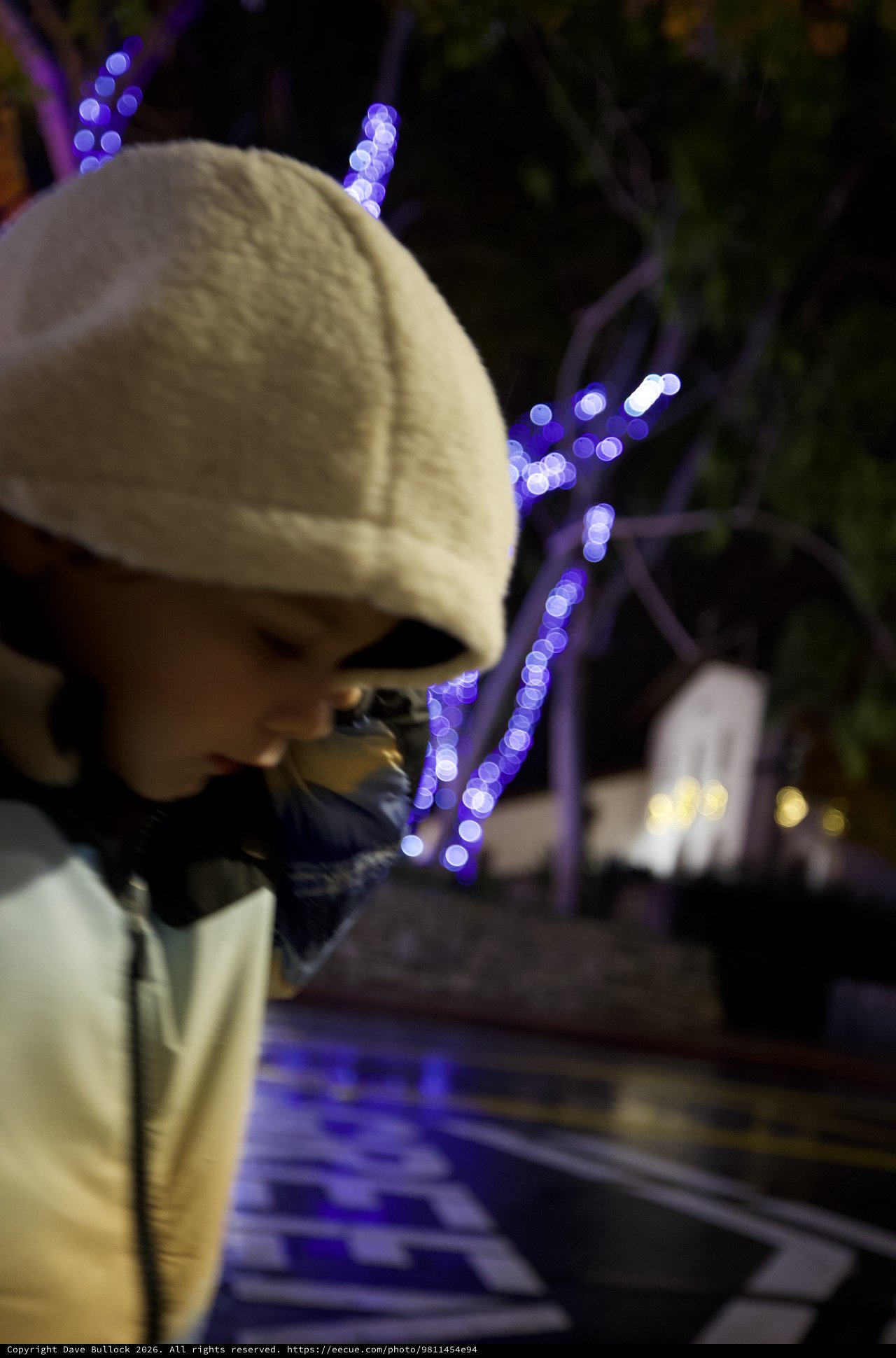 Spooky Skeleton Decoration with Purple Holiday Lights at Night