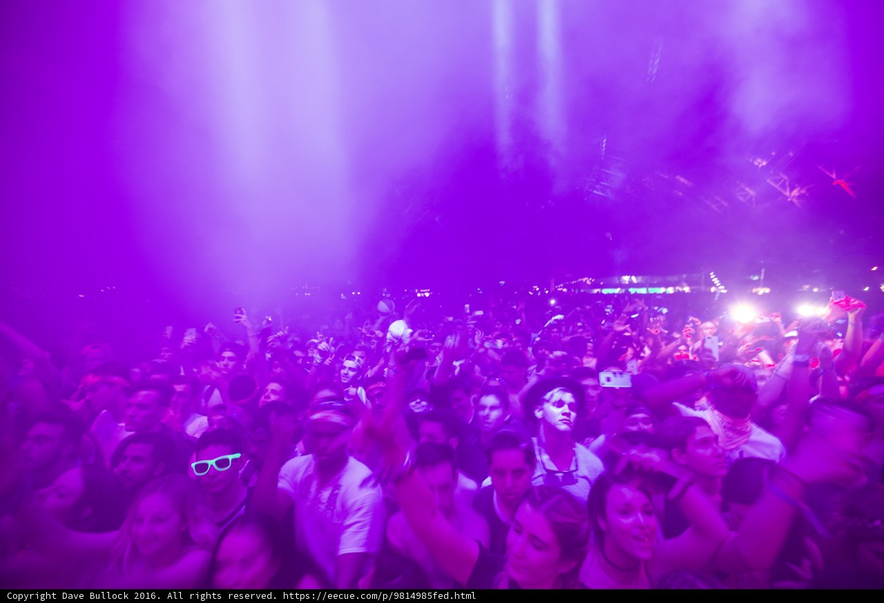 Purple Haze Party