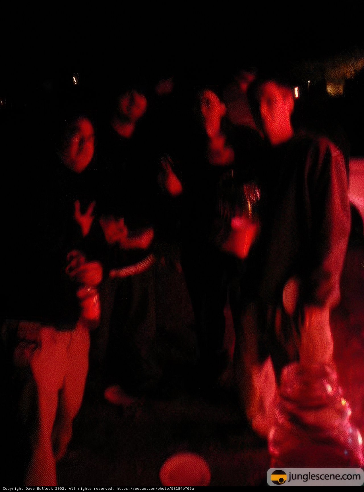 Night Club Gathering
