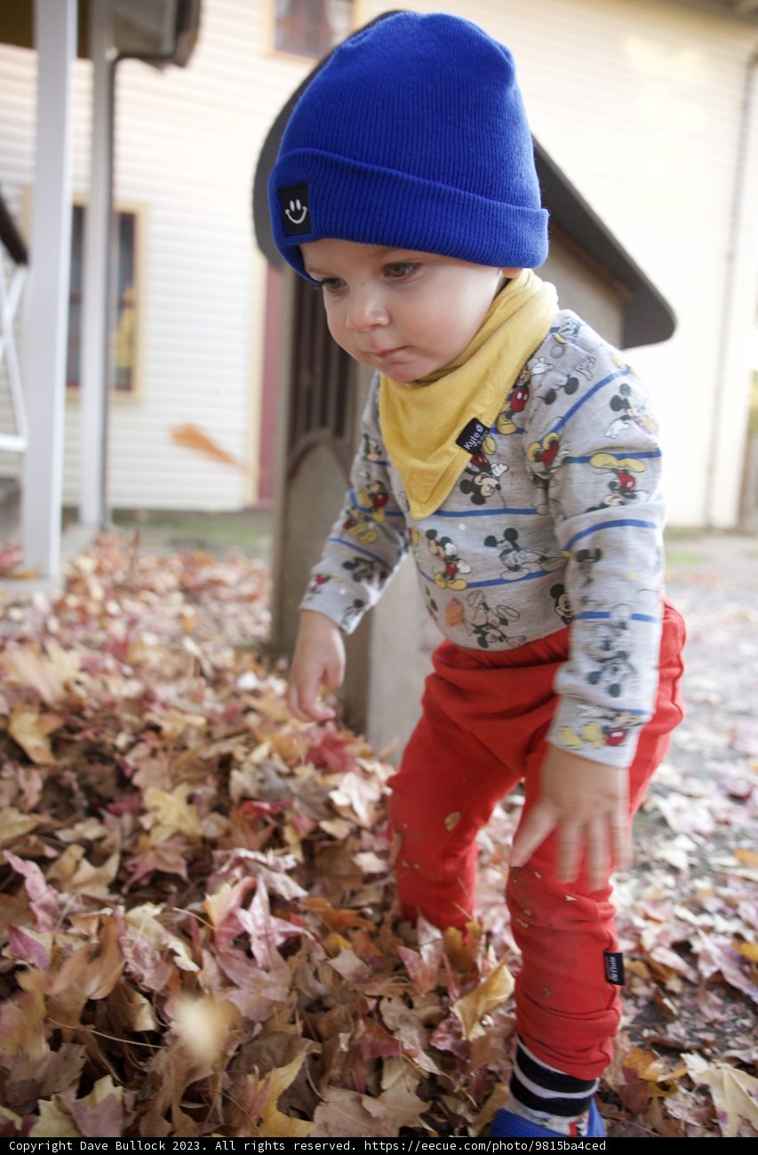 Autumn Chills and Toddler Thrills in Downtown Sonoma