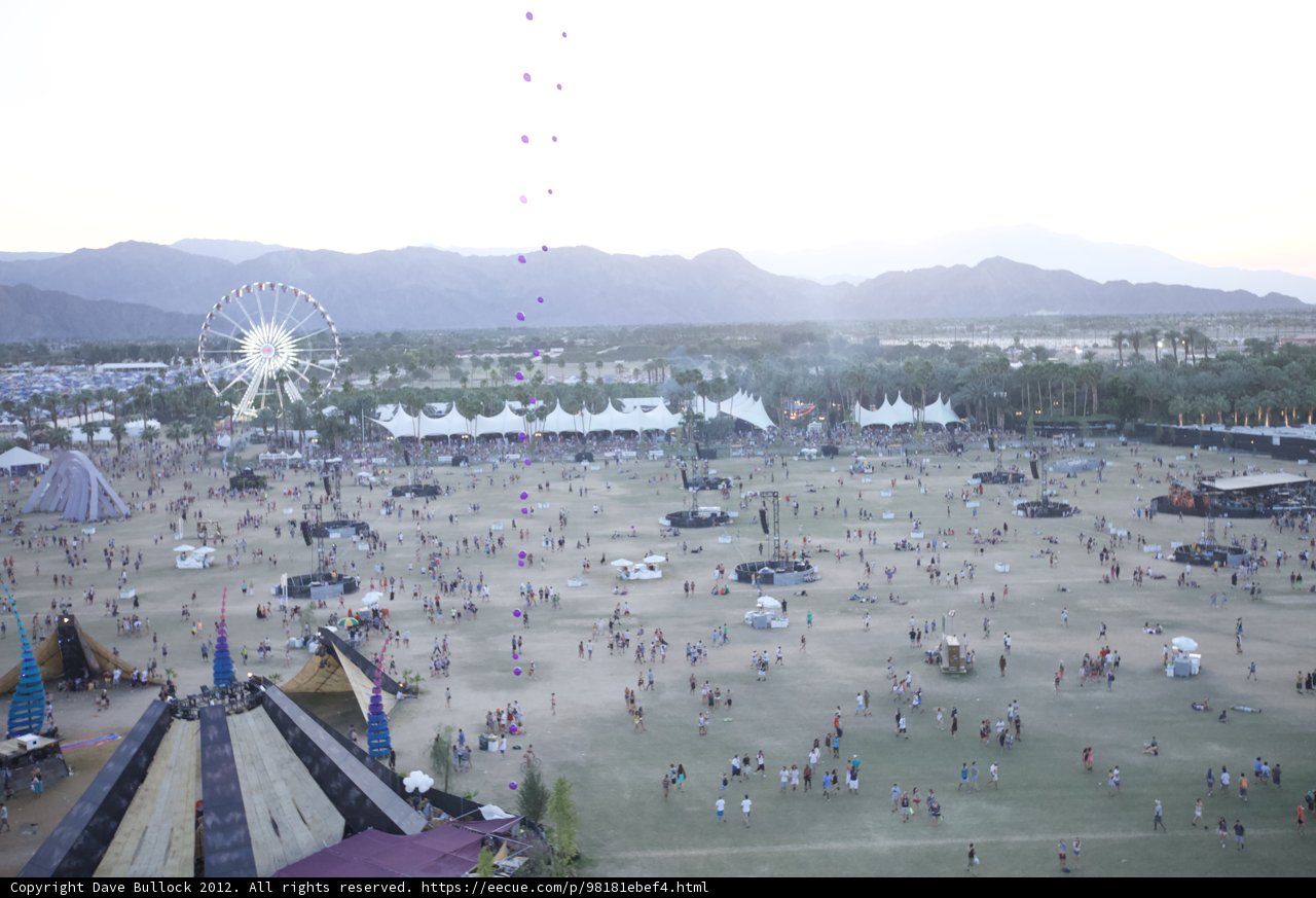 A Sea of Fun at Coachella