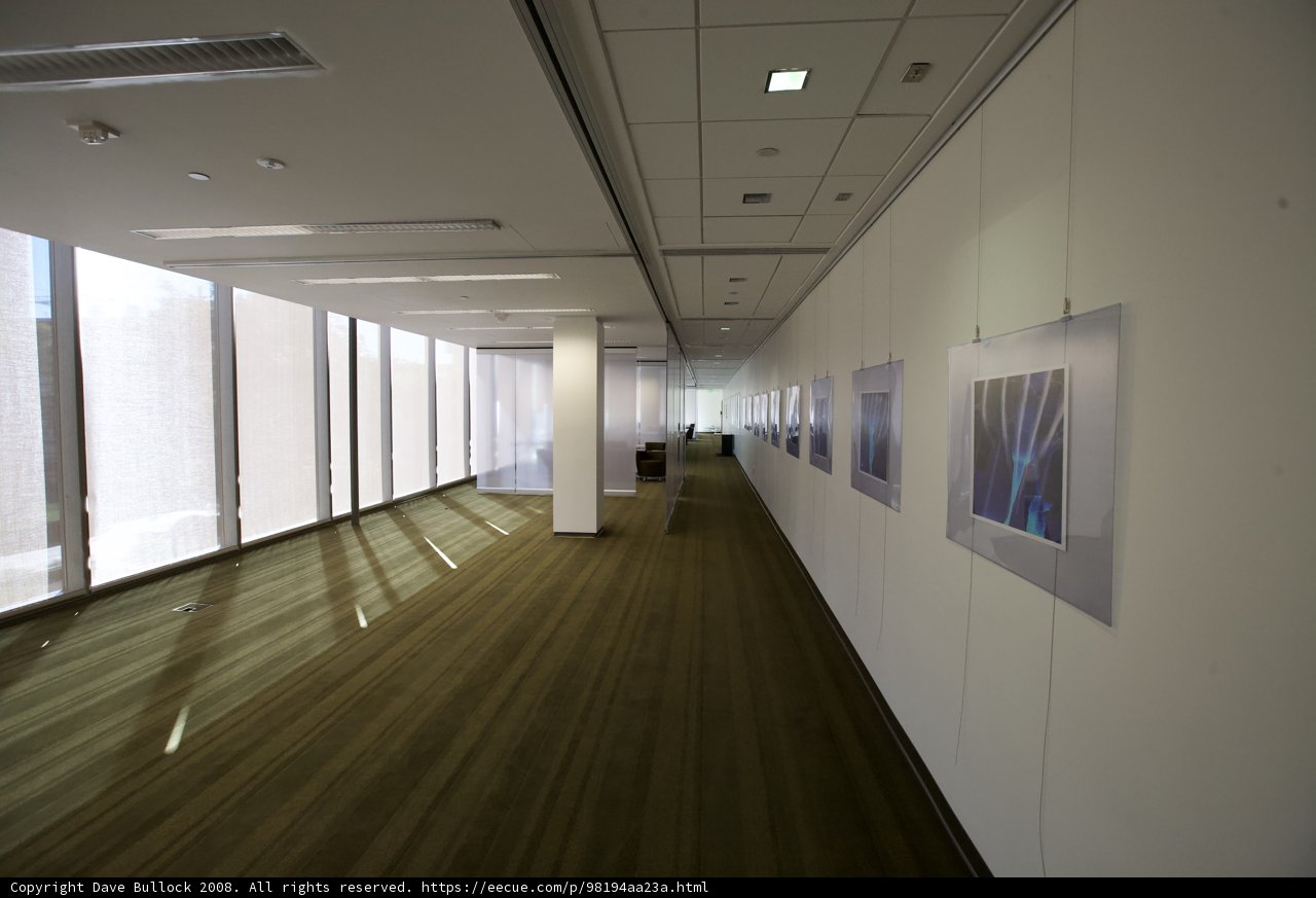 A Walk Through the Artistic CNSI Hallway