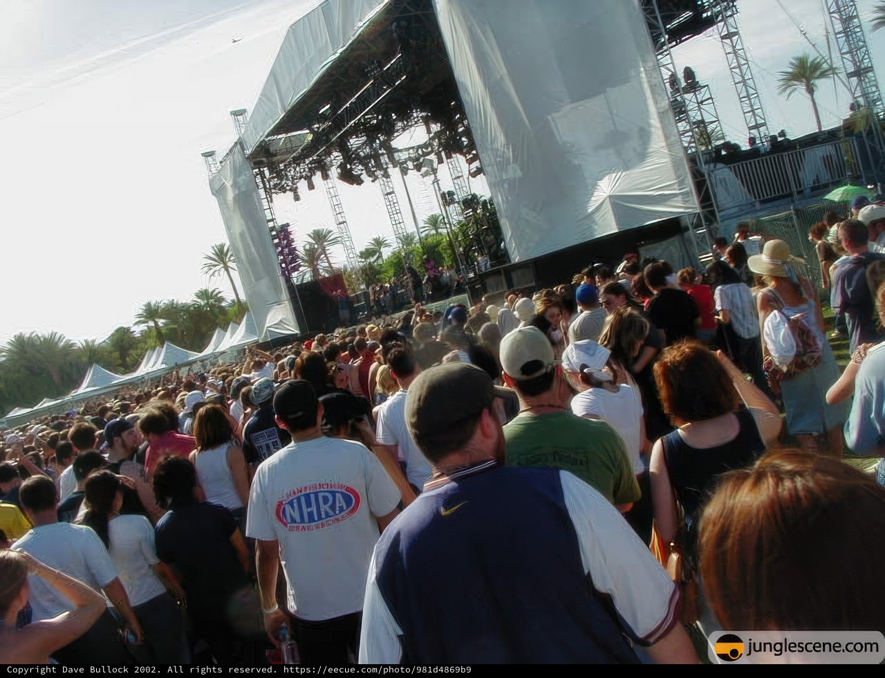 Coachella 2002: A Vibrant Crowd