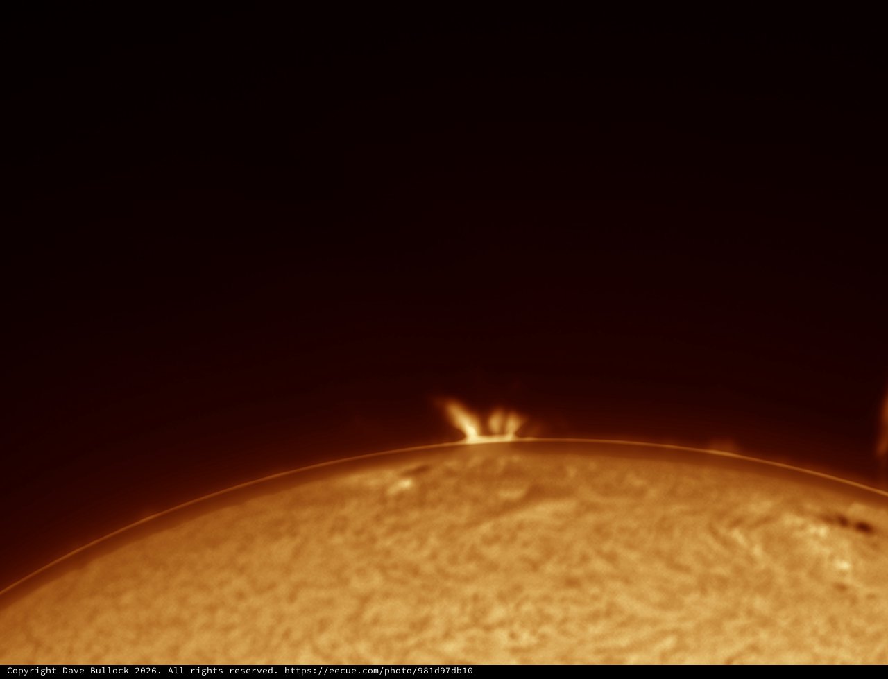 Solar Surge Prominence Erupting from Sun's Limb