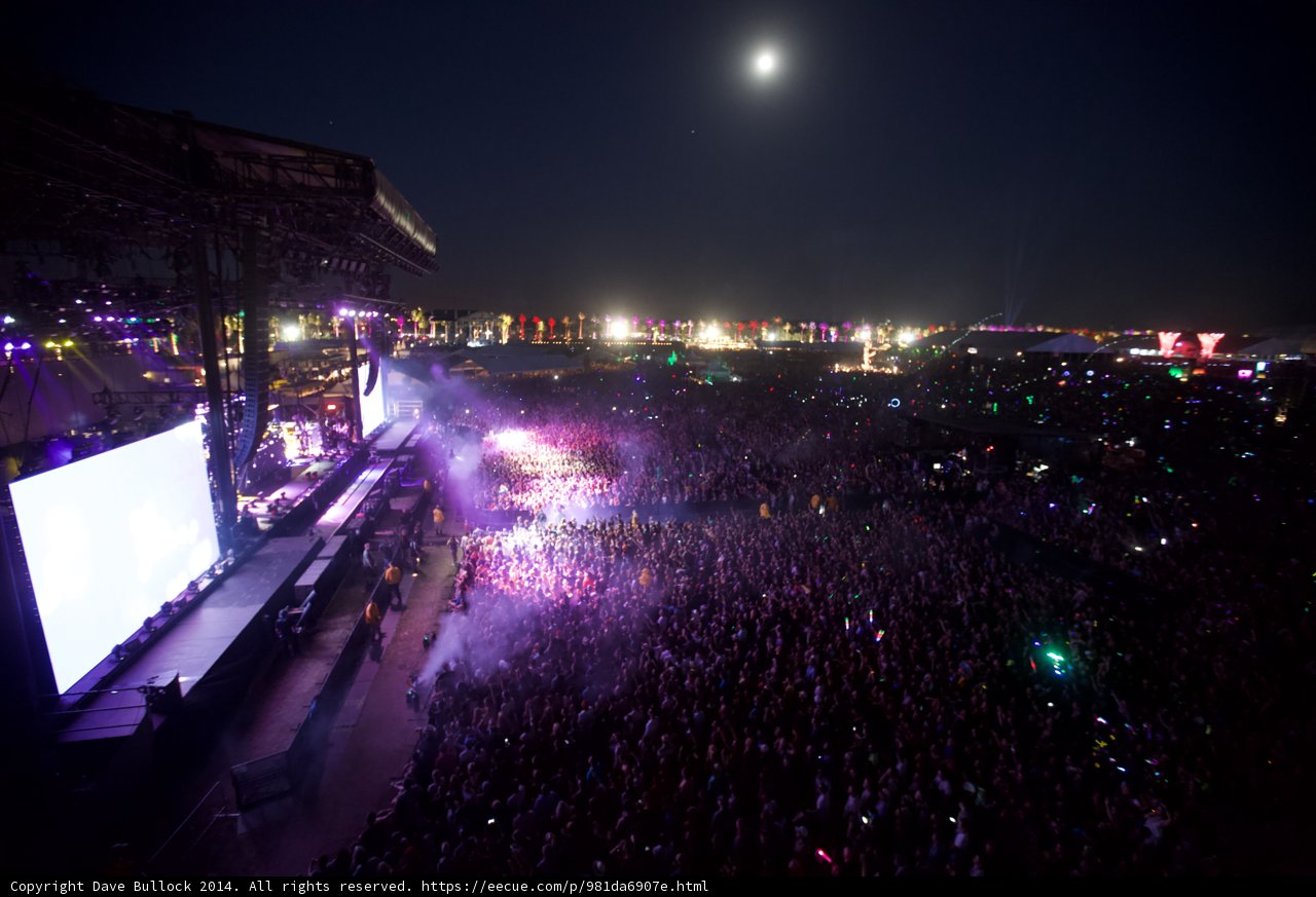 Moonlit Music Festival Madness