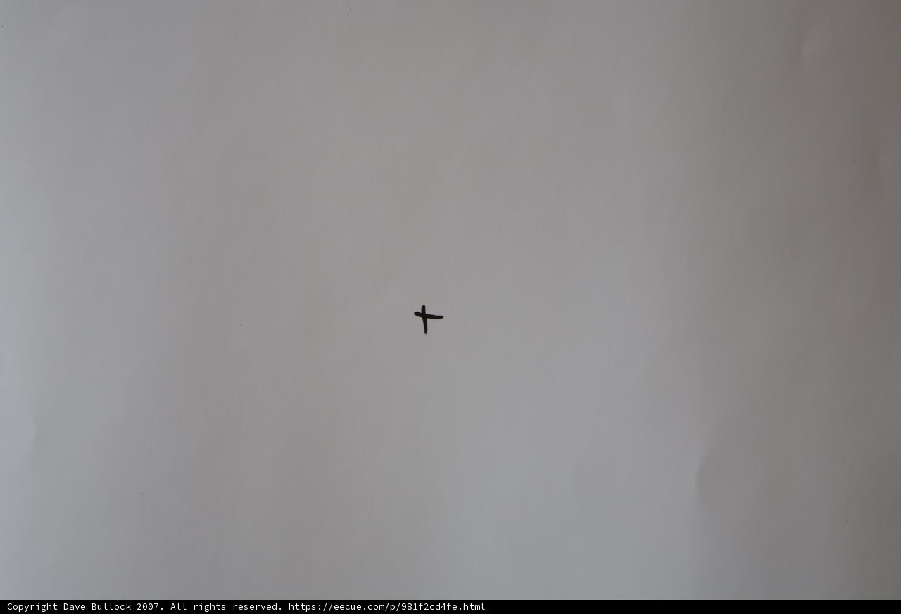 Taking Flight