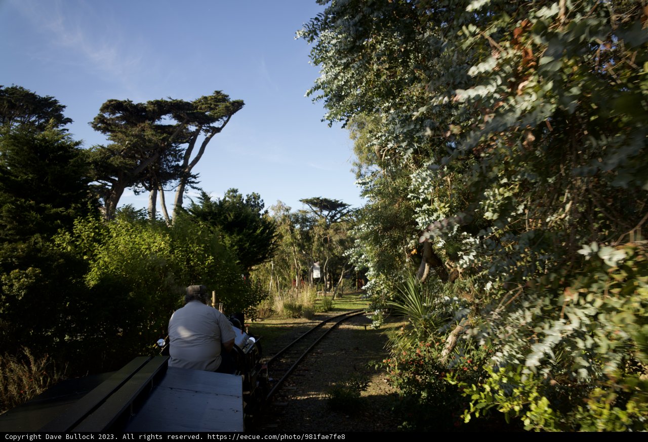 Tranquil Solitude on Tracks