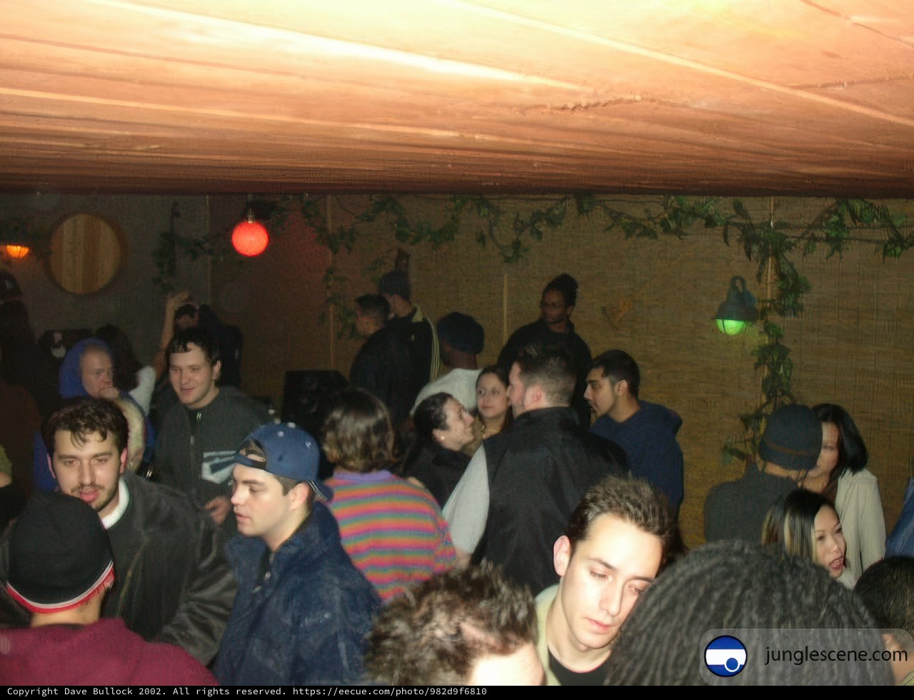 Nightclub Fun with Friends