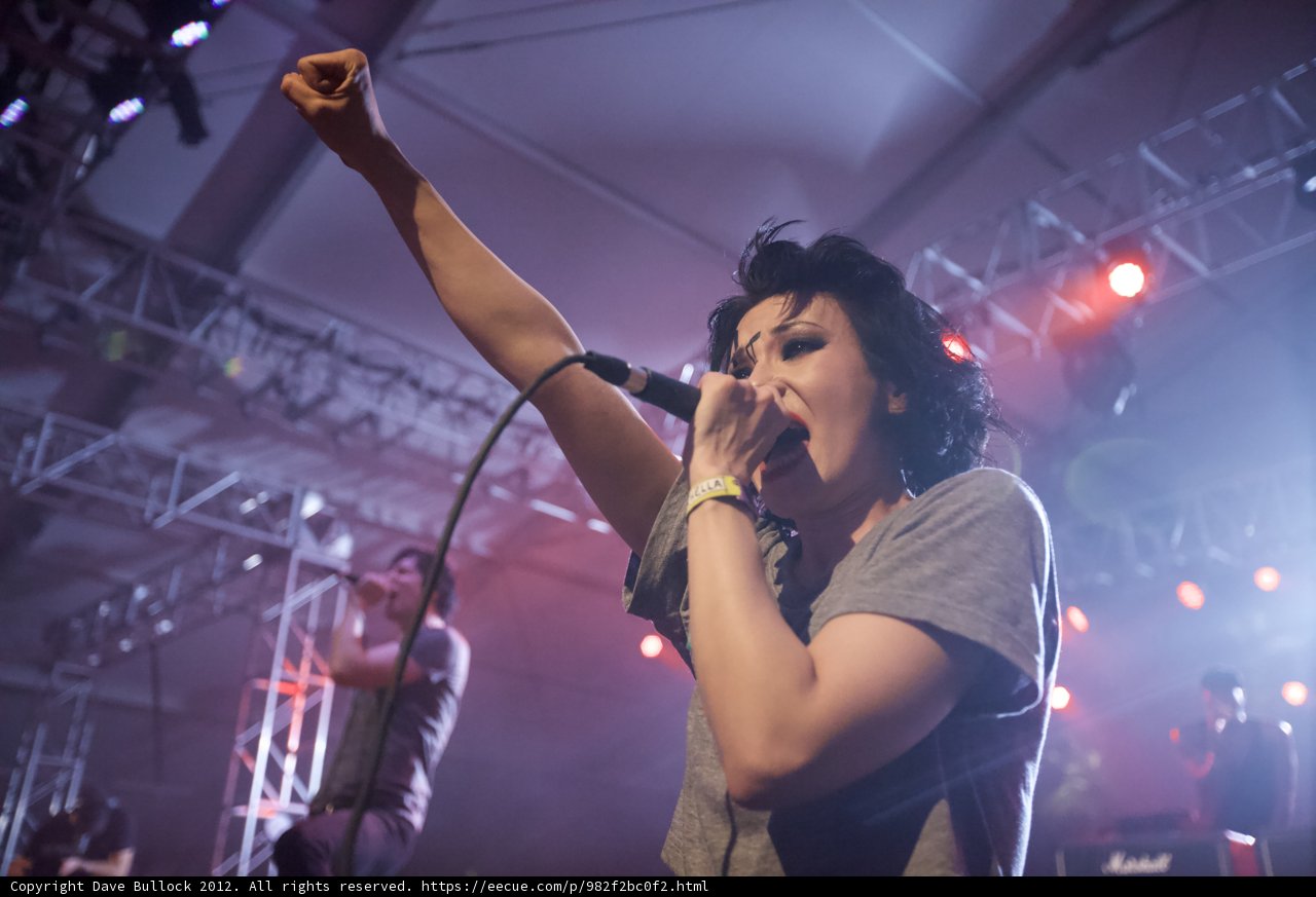 Rocking the Crowd at Coachella 2012