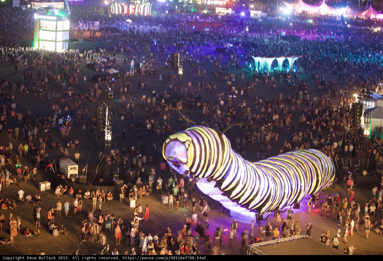 Snake Charmer at Coachella
