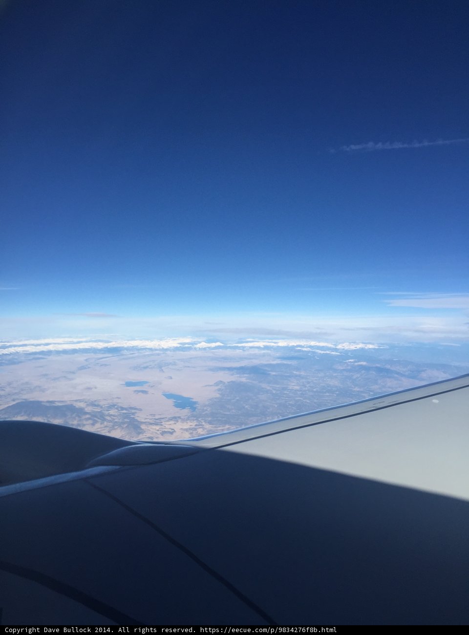 A Bird's Eye View