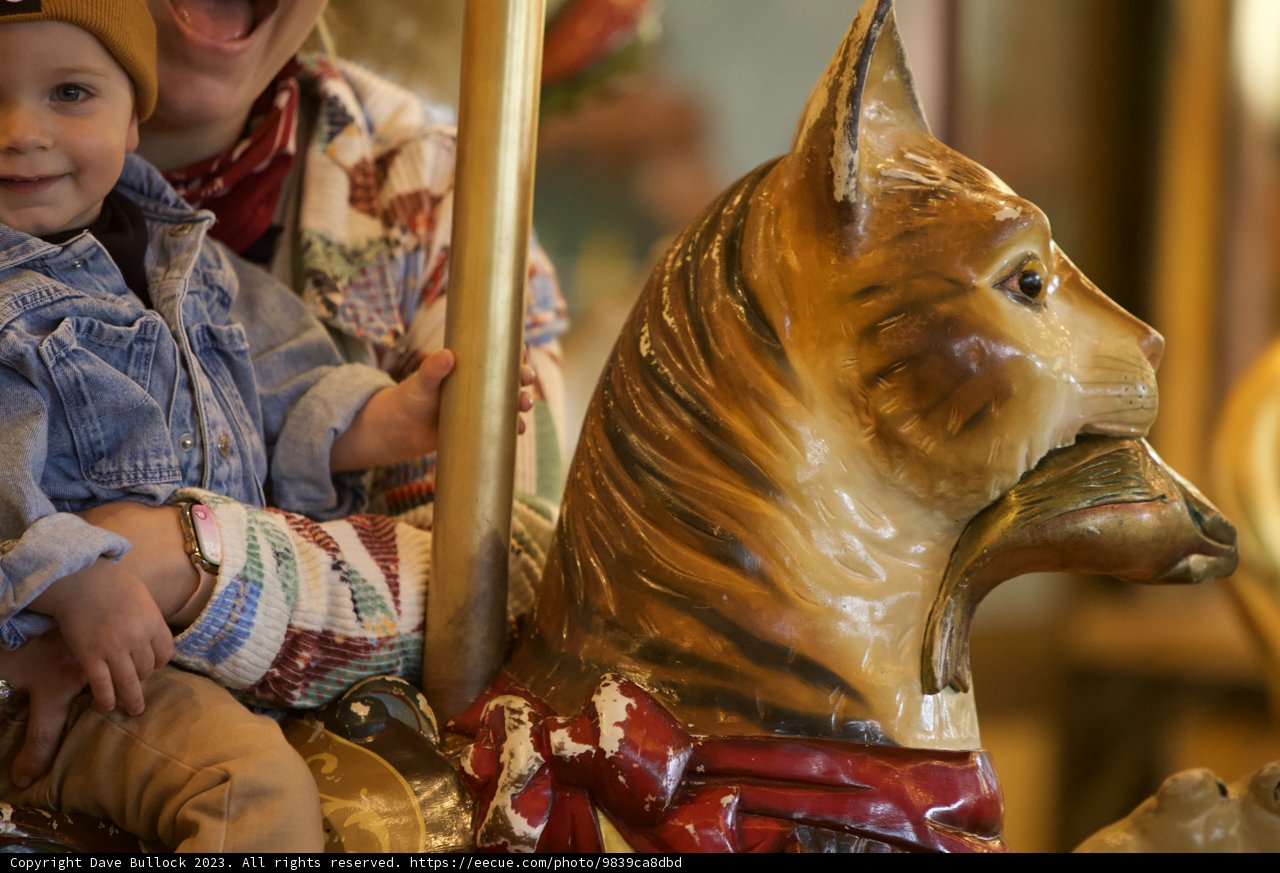 Magical Carousel Moments at SF Zoo, November 2023