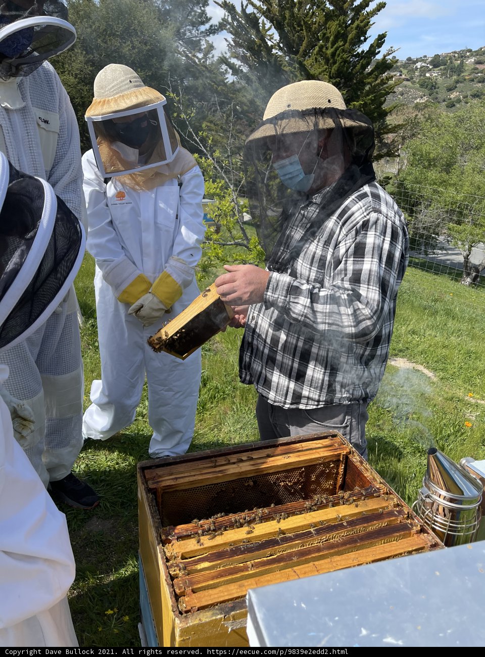 Beekeeper in the Fields