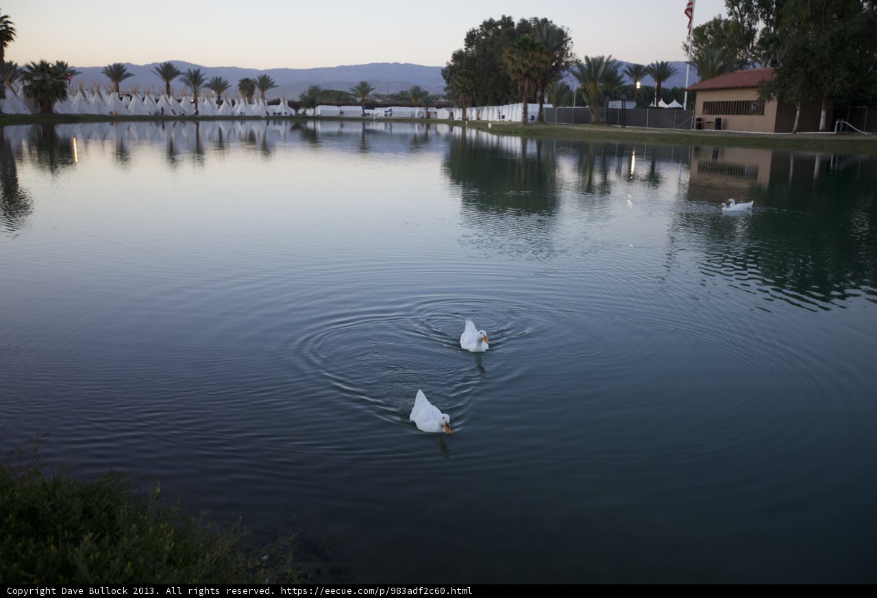Serenity on the Lake