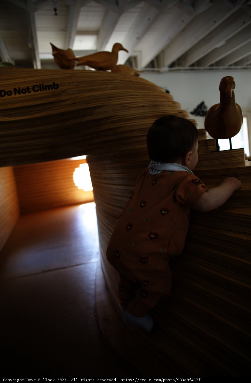 Little Climber at the Bay Area Discovery Museum