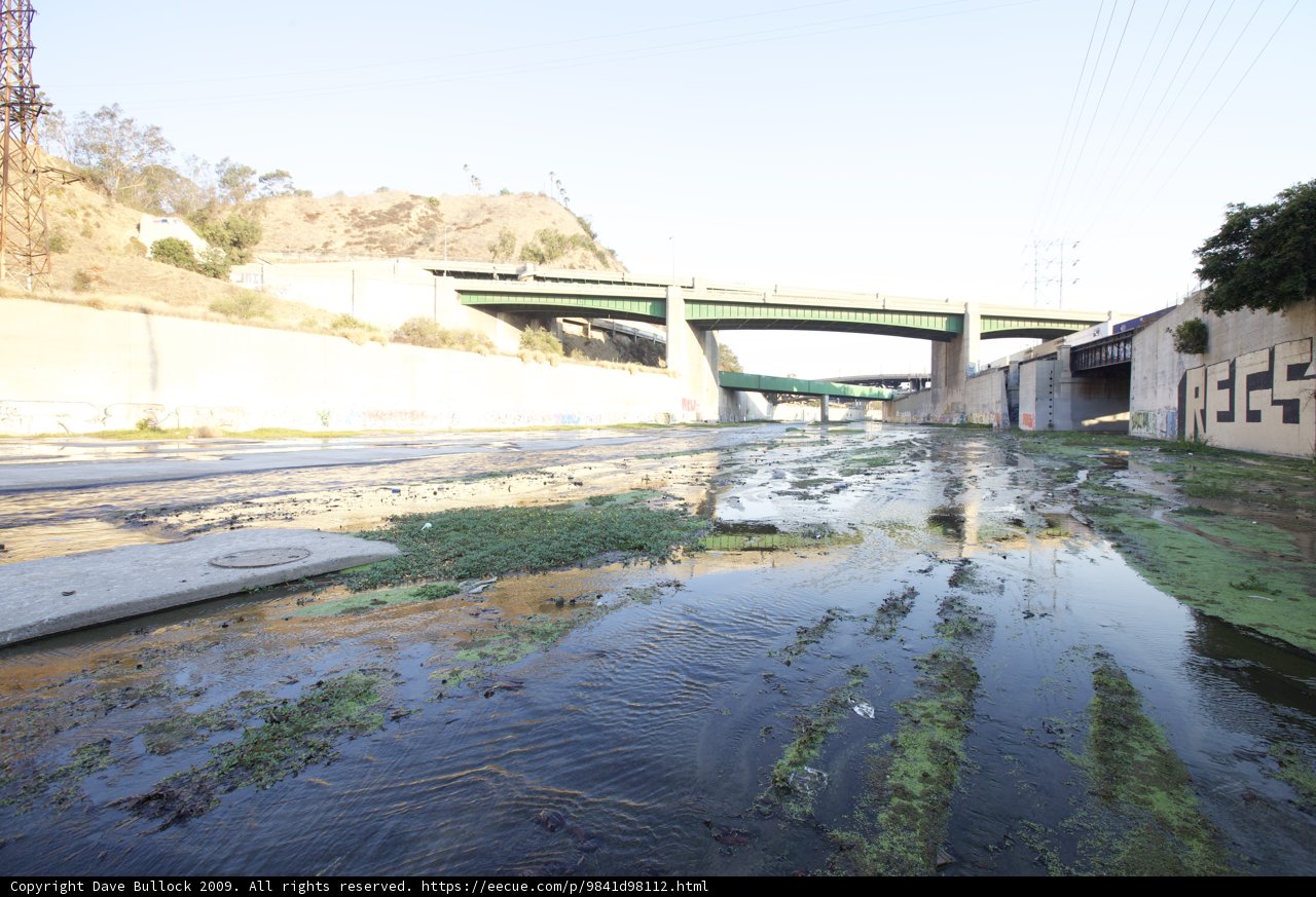 Algae Overrun La River