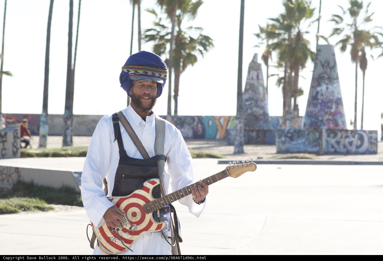 Turbaned Guitarist in the Palm Trees