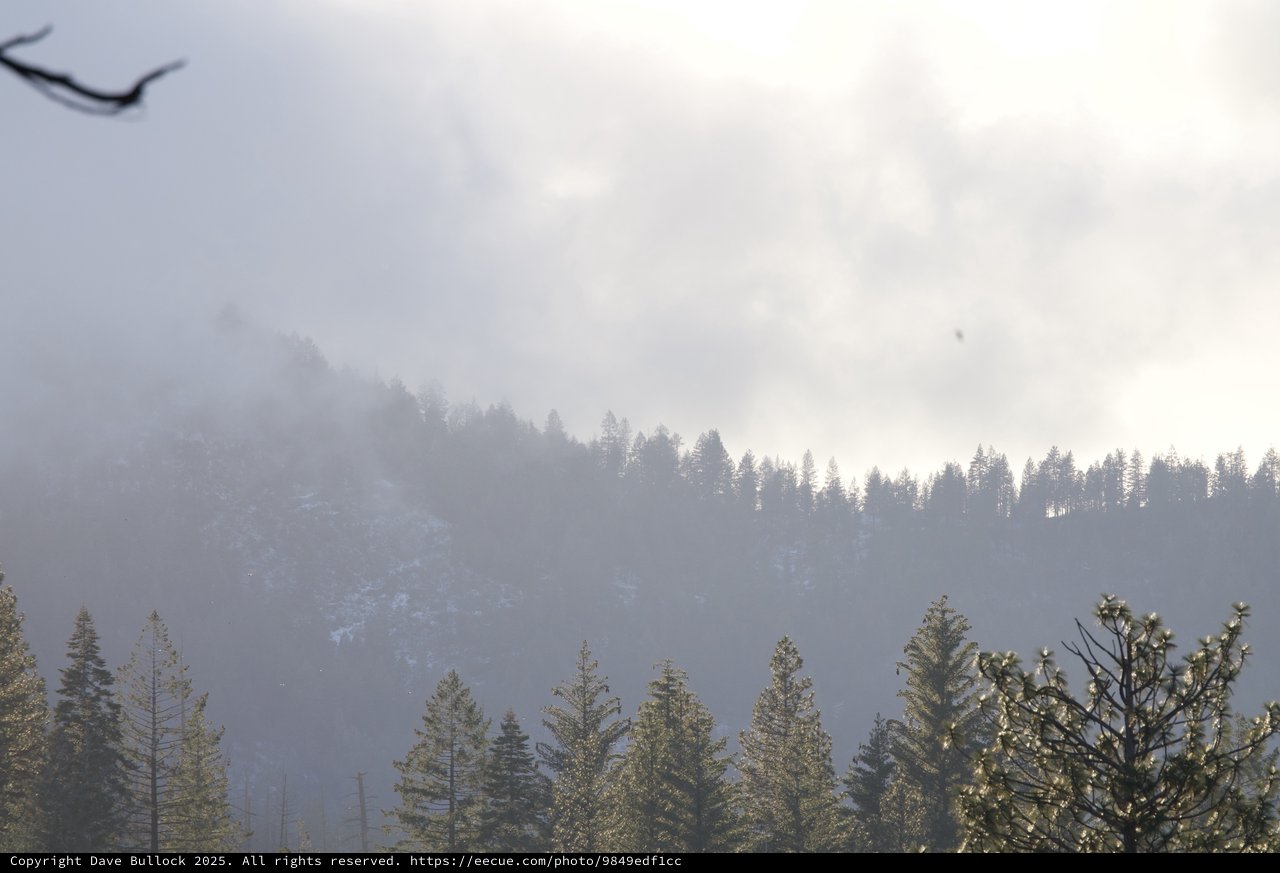 Misty Mountain Forest in Winter Atmosphere