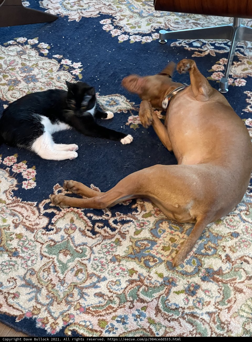 Fun and Games on the Living Room Floor