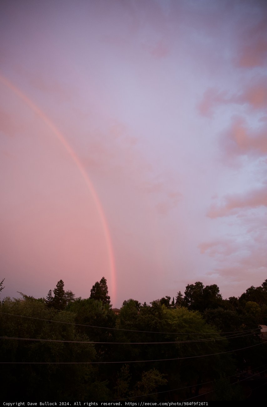 A Rainbow's Embrace