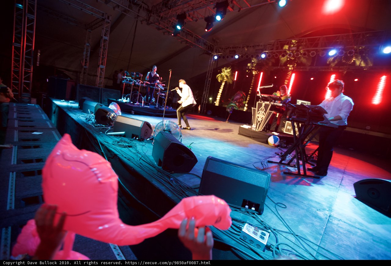 Flamingo Serenade on the Concert Stage