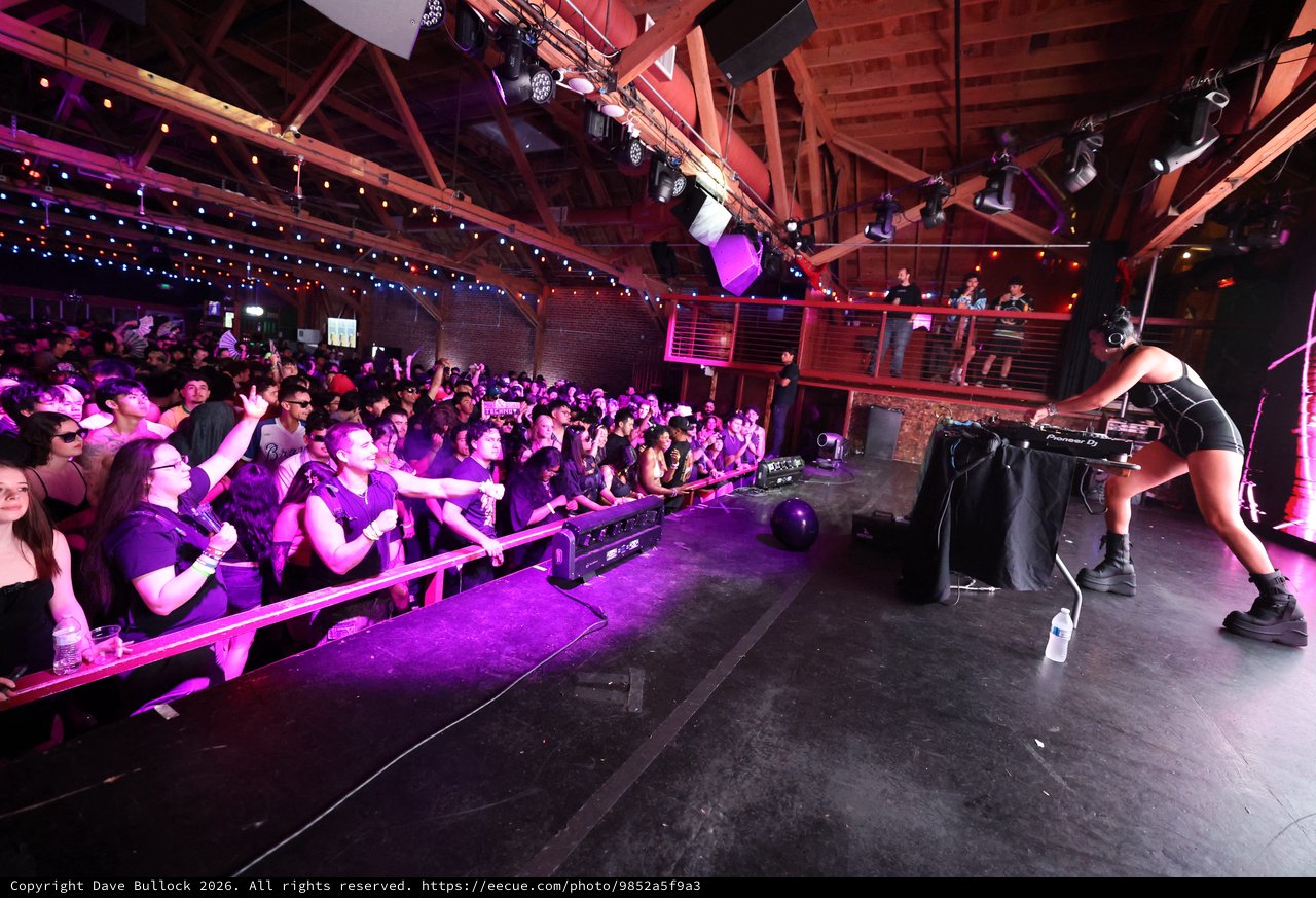 DJ Ignites Massive Crowd at Wobbleland 2026