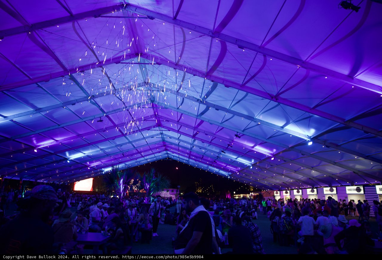Electric Nights at Coachella 2024