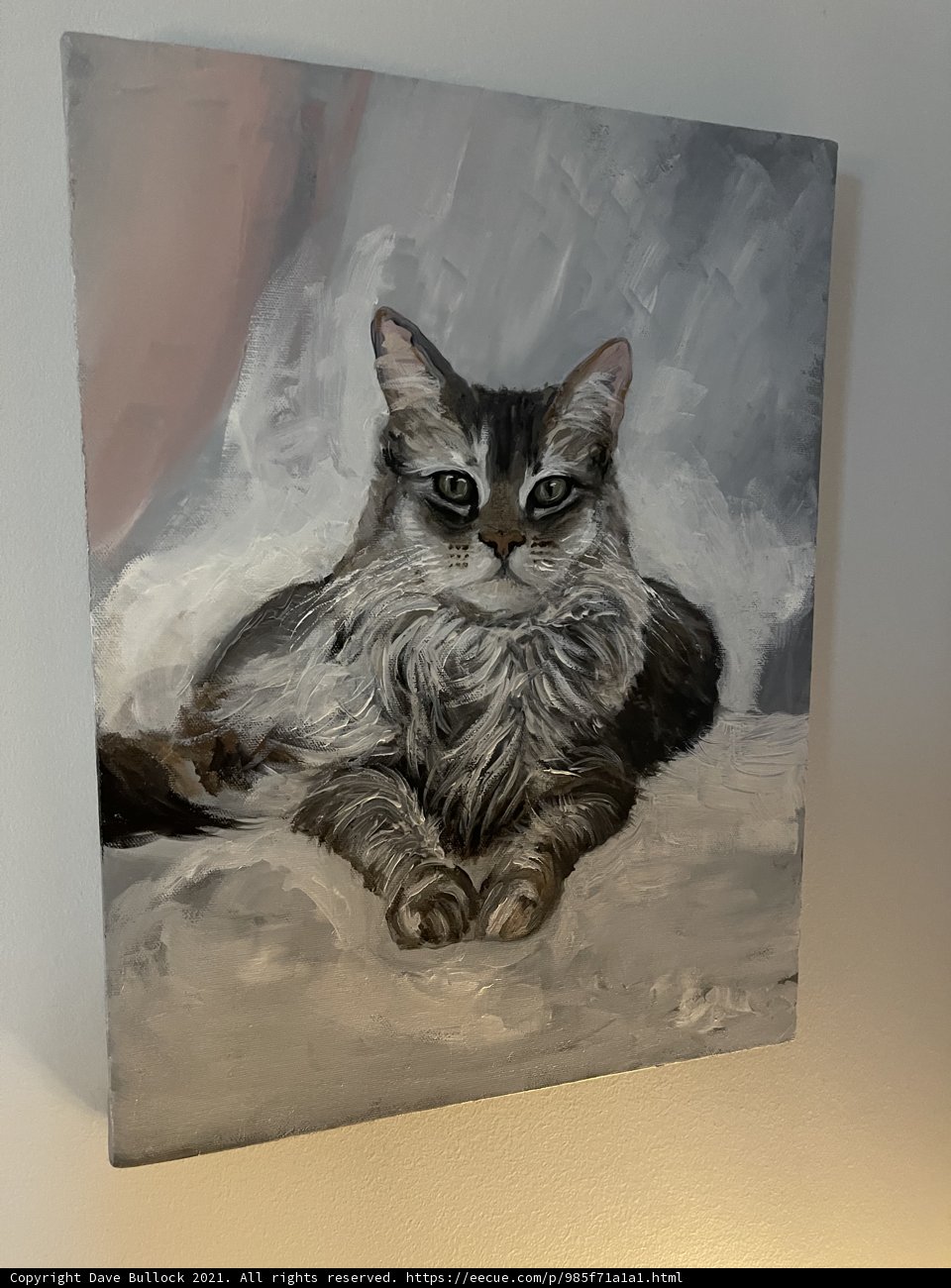 The Contemplative Feline