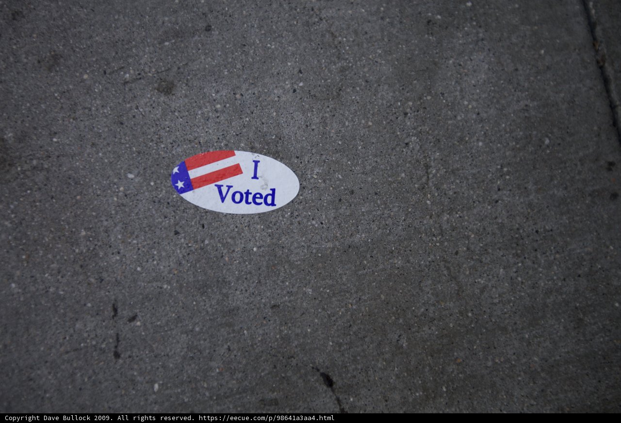 i voted