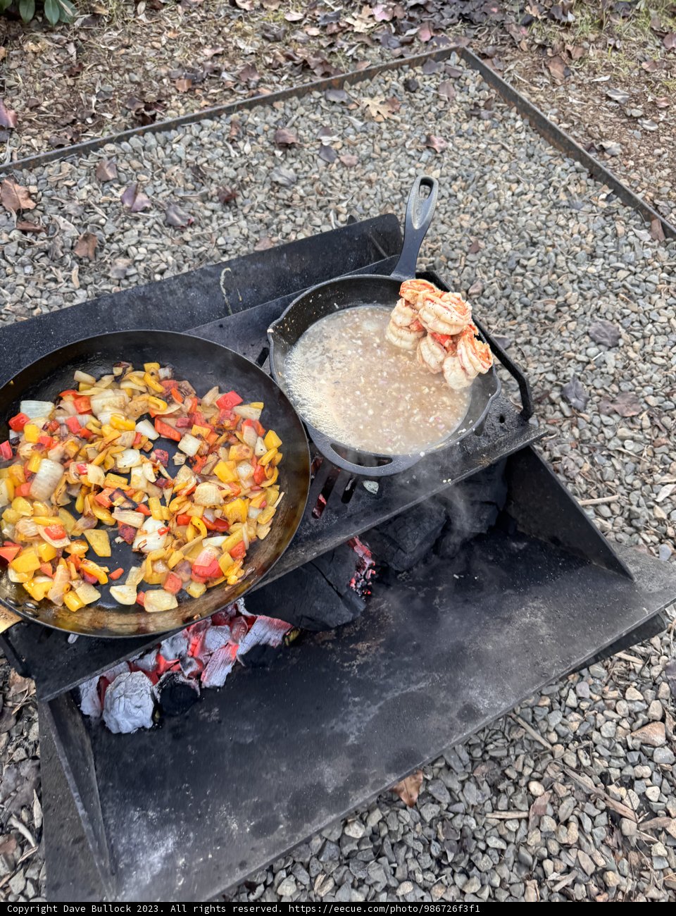 Wilderness Delight in December