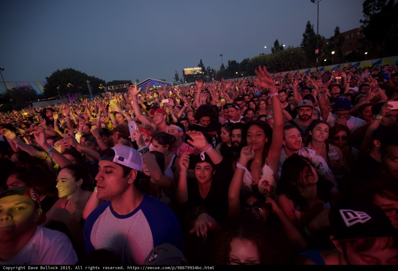 Festival Crowd Hands Up Dusk