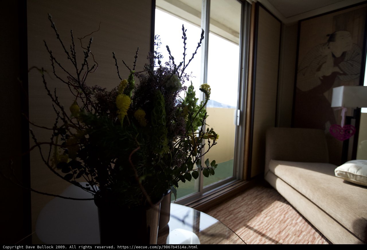 Ikebana Flower Arrangement in Living Room
