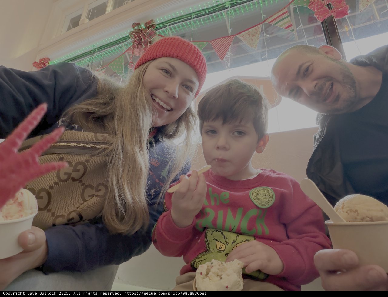 Family Christmas Ice Cream Celebration