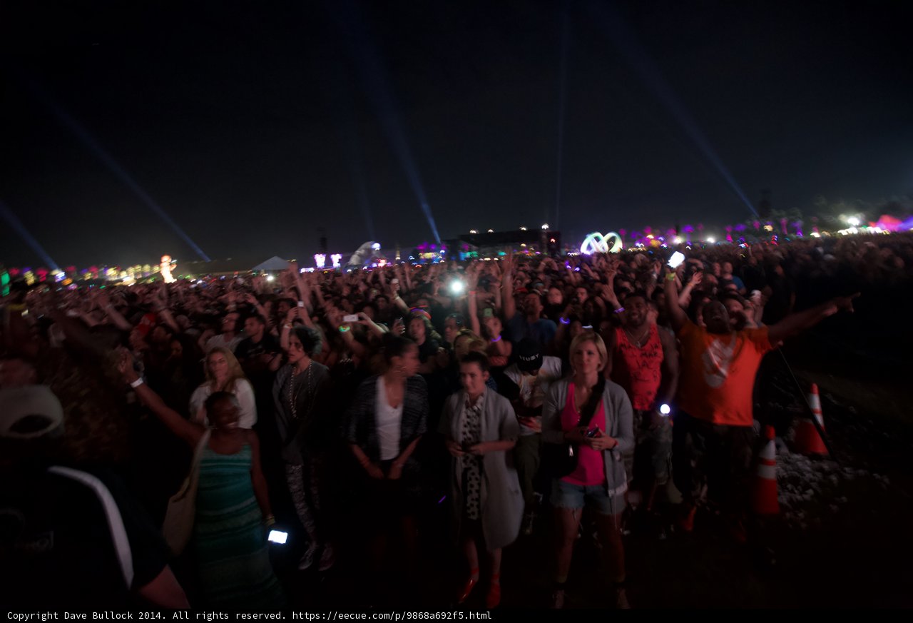 Lights, Music, and a Sea of People
