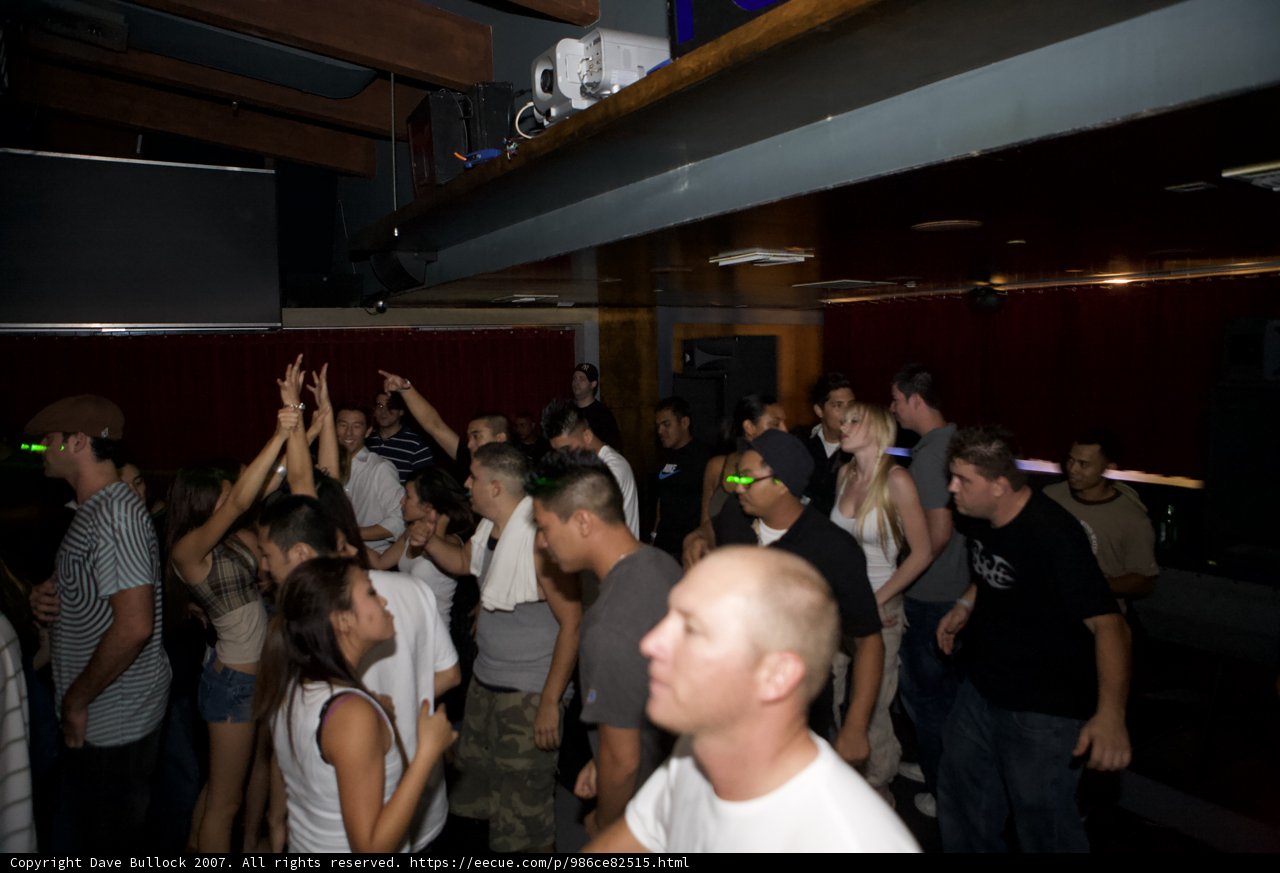 Partygoers Feeling the Beat