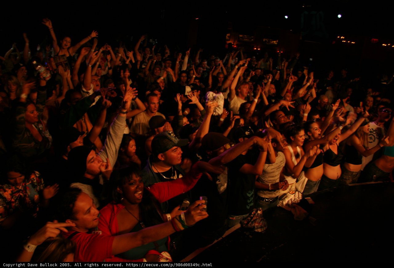 Urban Concert Craze