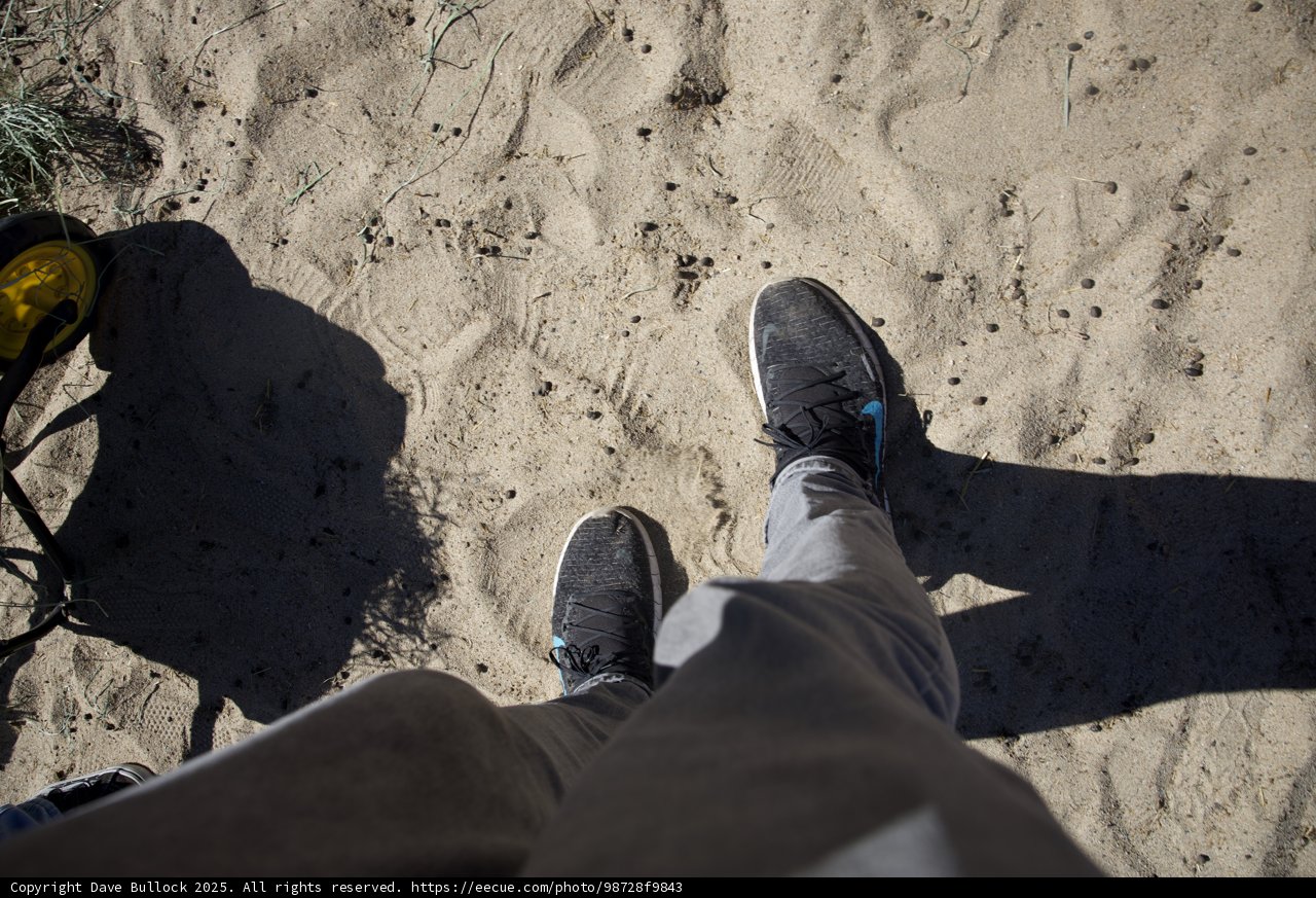 Steps in the Sand
