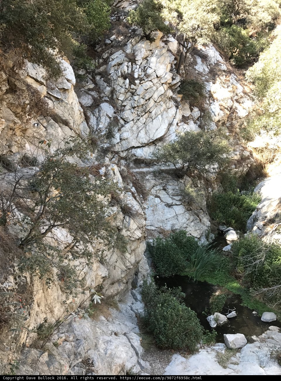 Rocky Canyon Stream Adventure