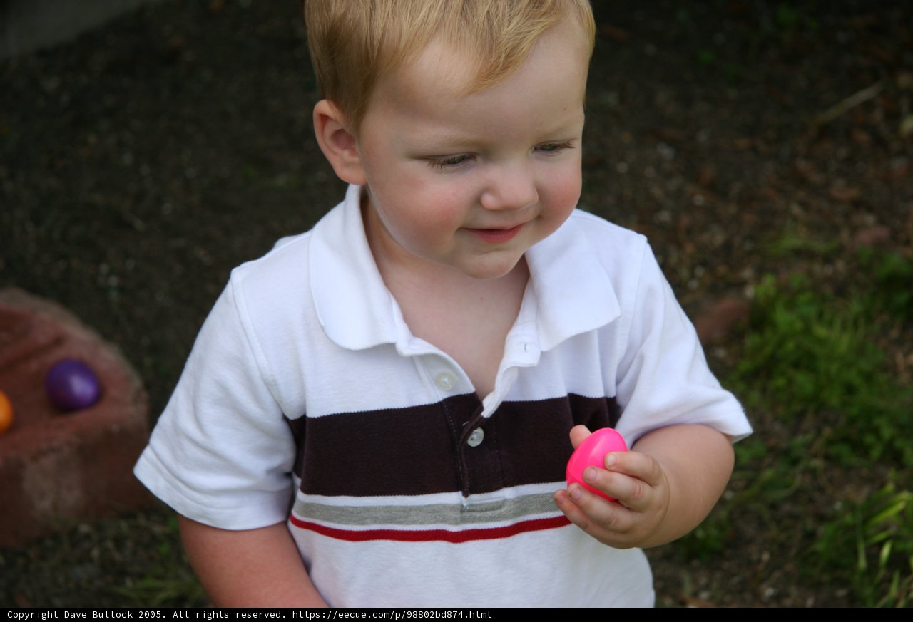Little Boy's Easter Egg Surprise