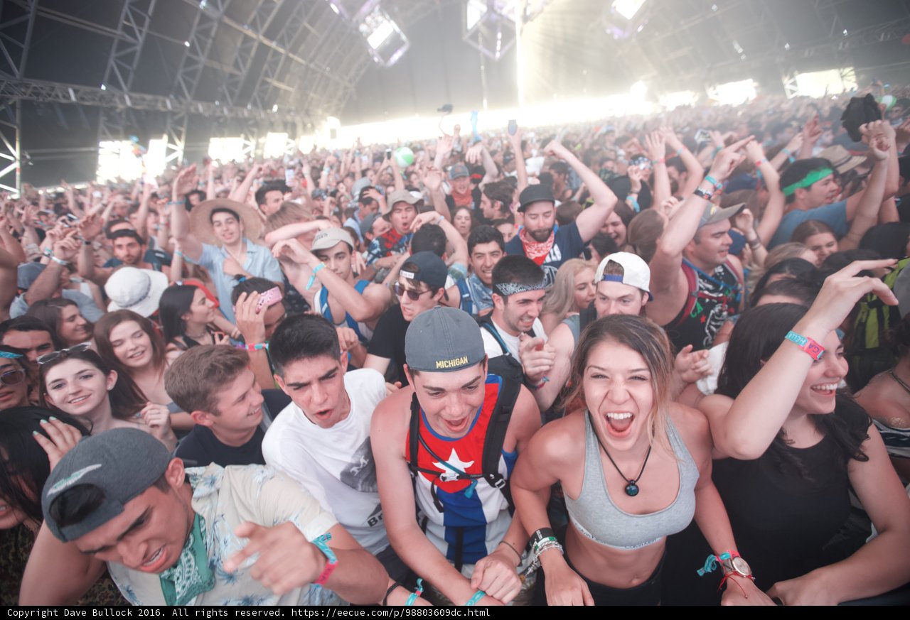 Coachella Fun