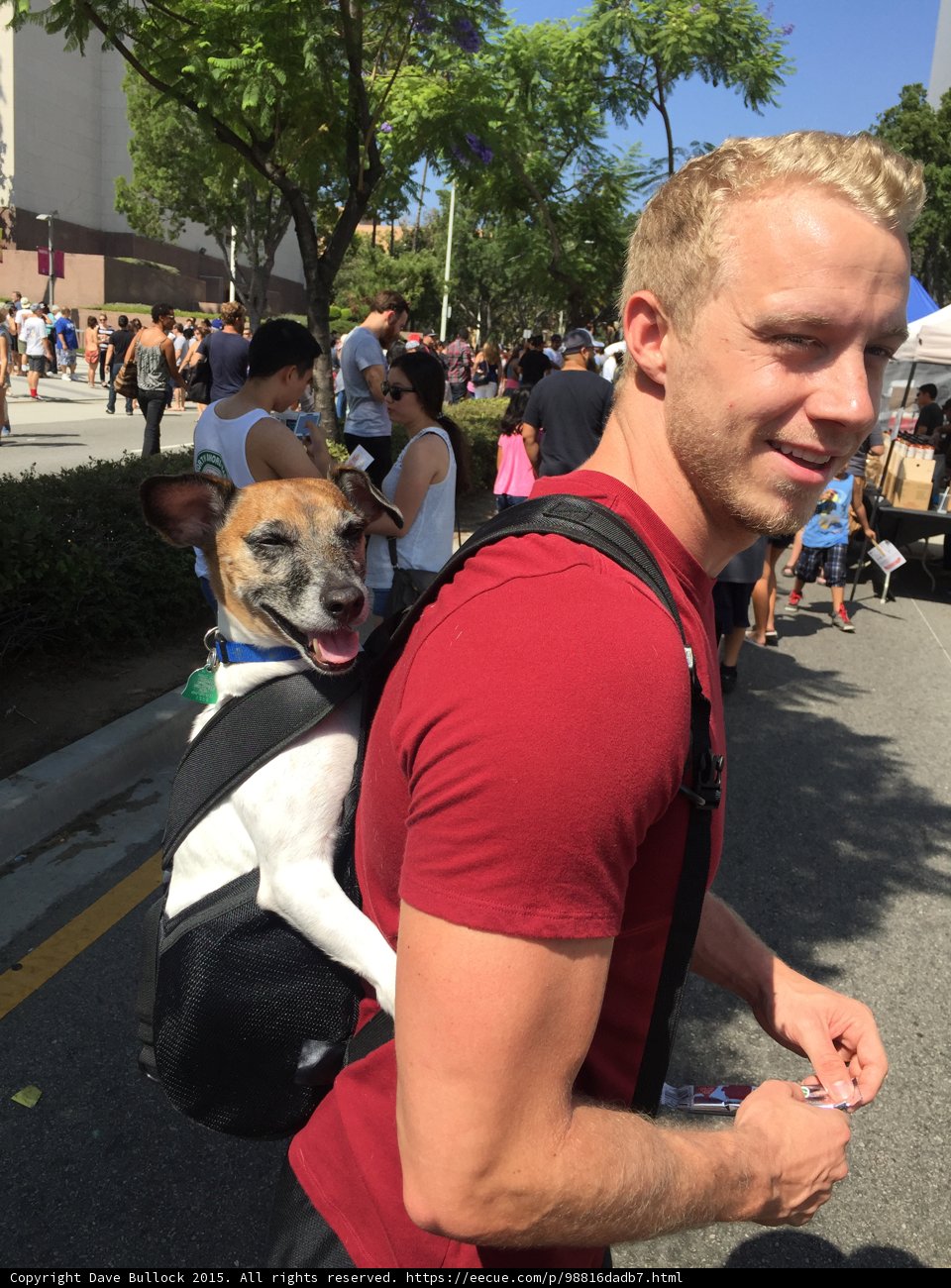Happy Dog Dad