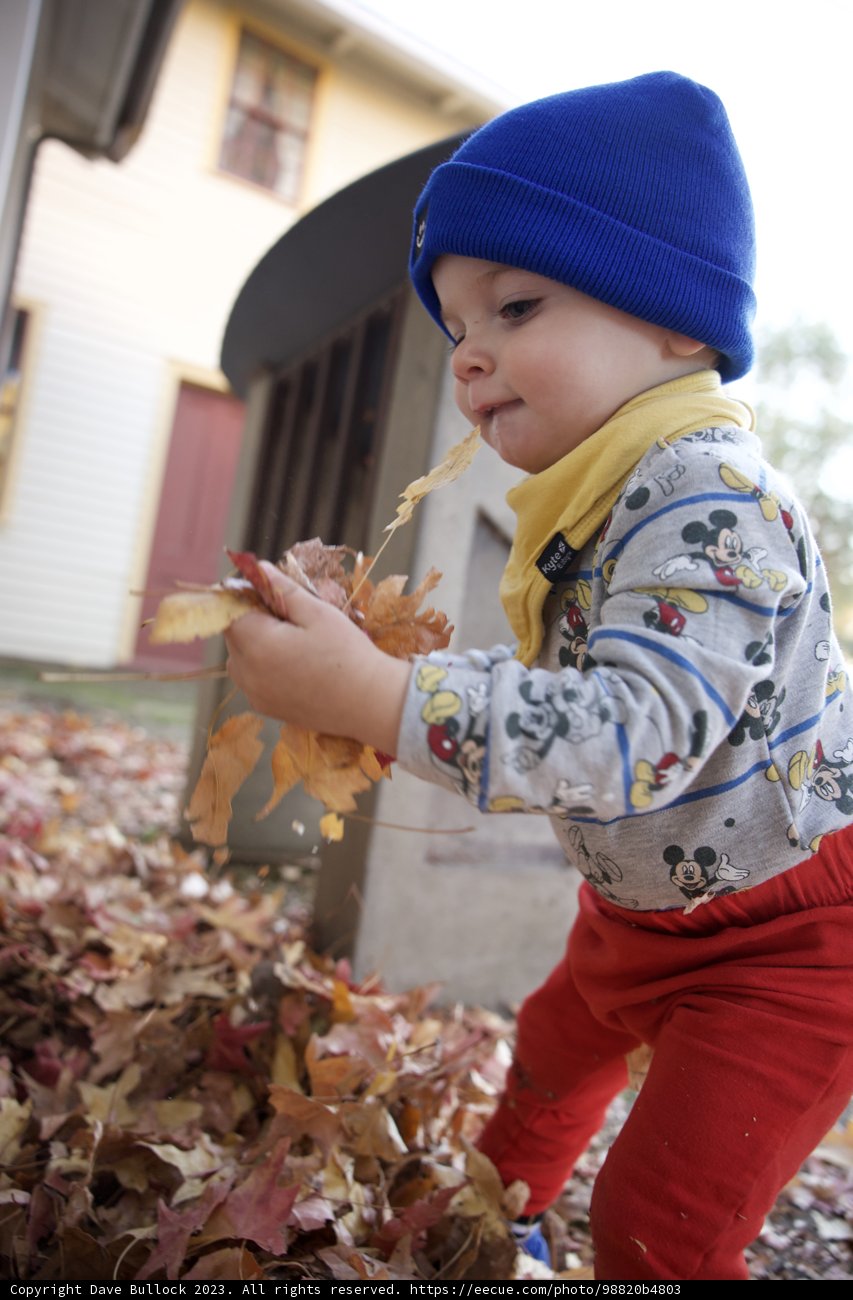 Autumn Discovery in Sonoma