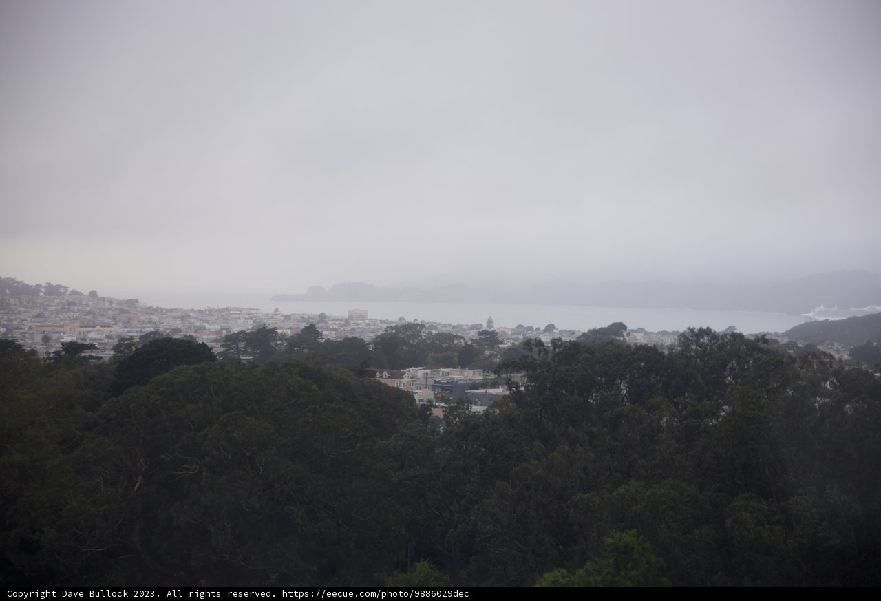 Urban Jungle: A Hazy Perspective