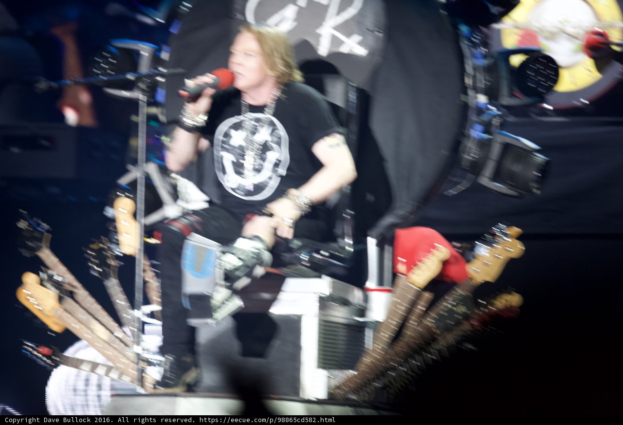 Rocking the Crowd